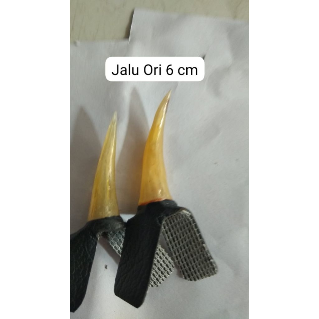 Jalu sambungan taji ayam jago