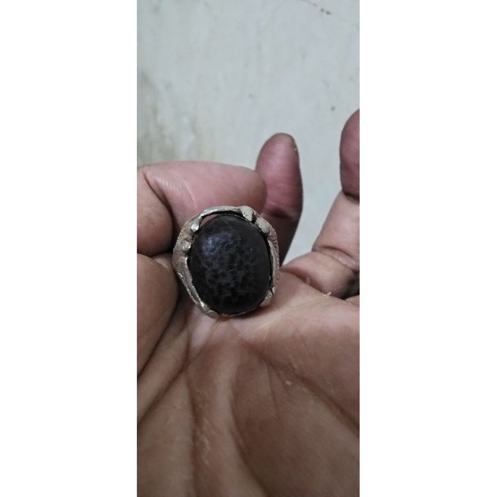 kayu unik antik galih kayu Pucang Kalak original ring 6-7