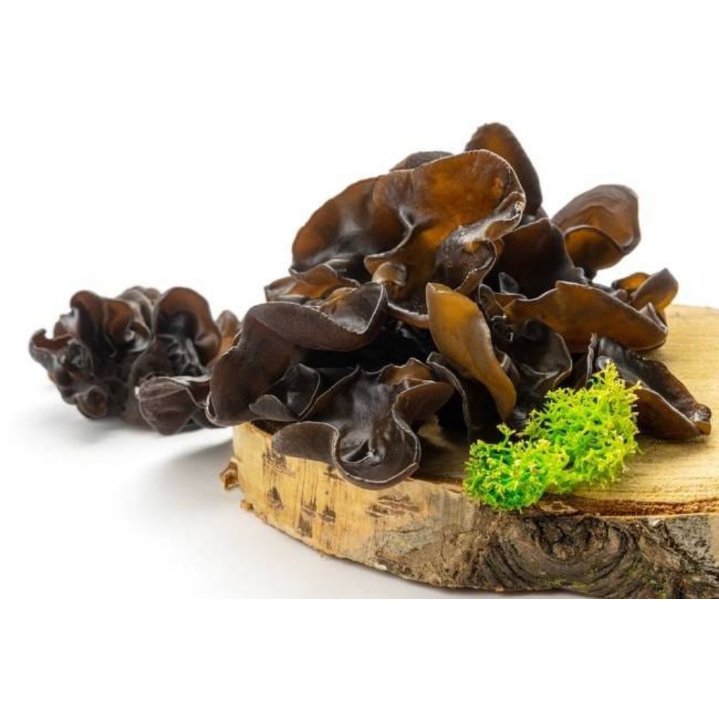Jamur kuping 1 KG FRESH