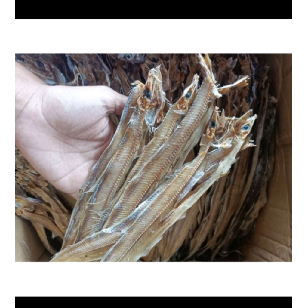 ikan kering layur/ikan layur belah tidak asin