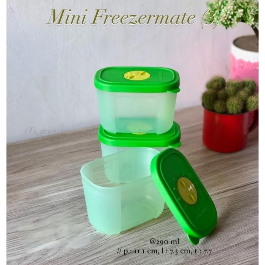 Tupperware Mini Freezermate with Dial (1)/wadah untuk di freezer
