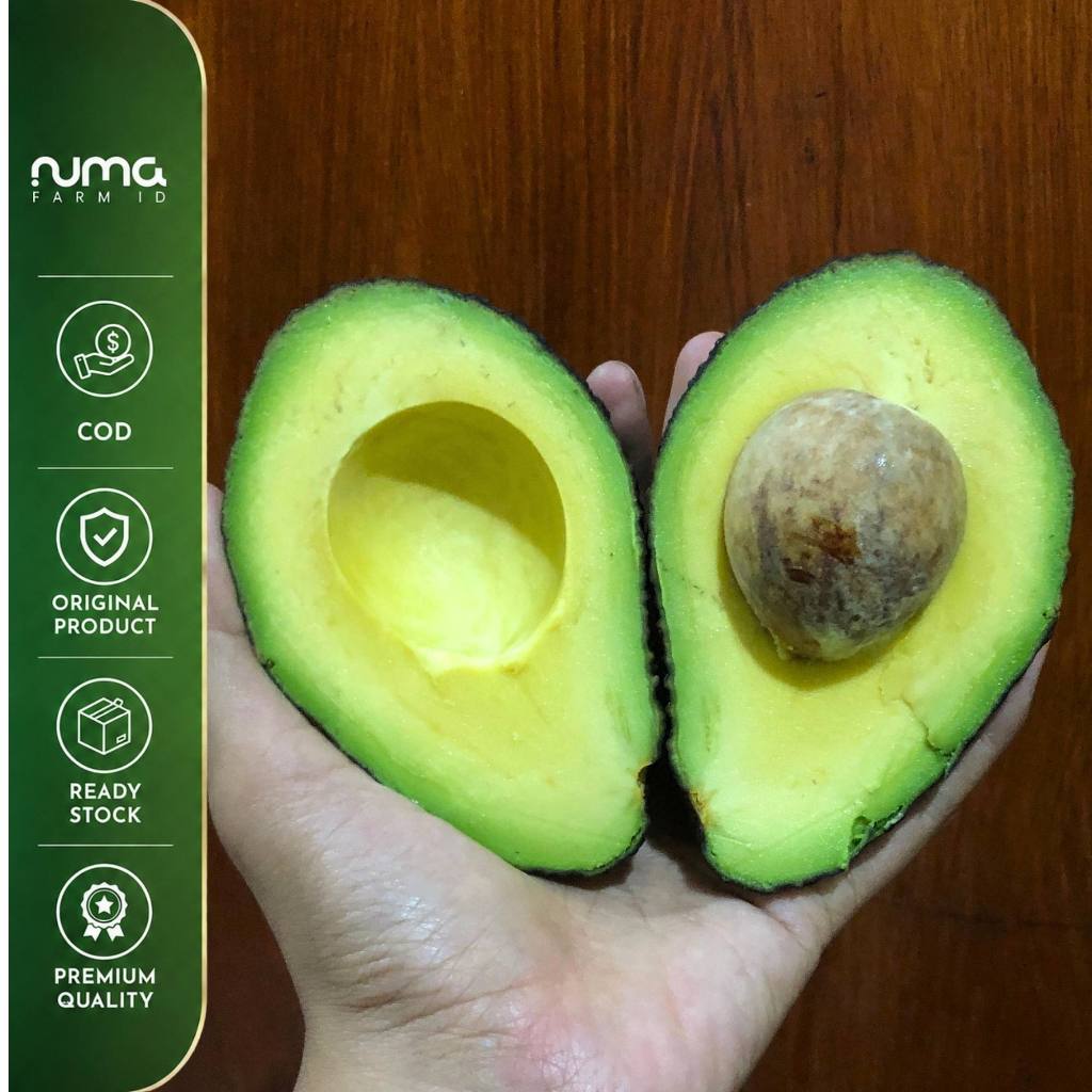 Alpukat Hass 1kg(8 buah) - NUMA FARM ID