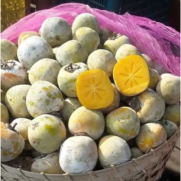 Kesemek, Buah Kesemek Lokal, Persimmon, Segar
