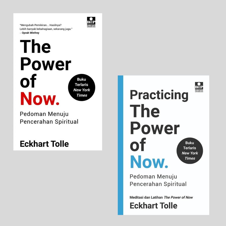 [INDONESIA] PAKET 2 SERIES THE POWER OF NOW + PRACTICING THE POWER OF NOW