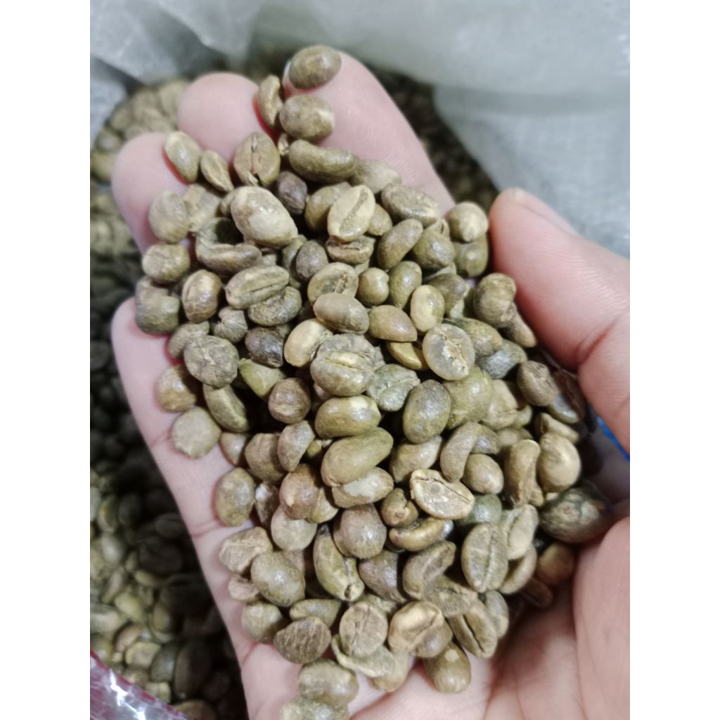 biji kopi robusta /biji kopi robusta green bean kopi metah