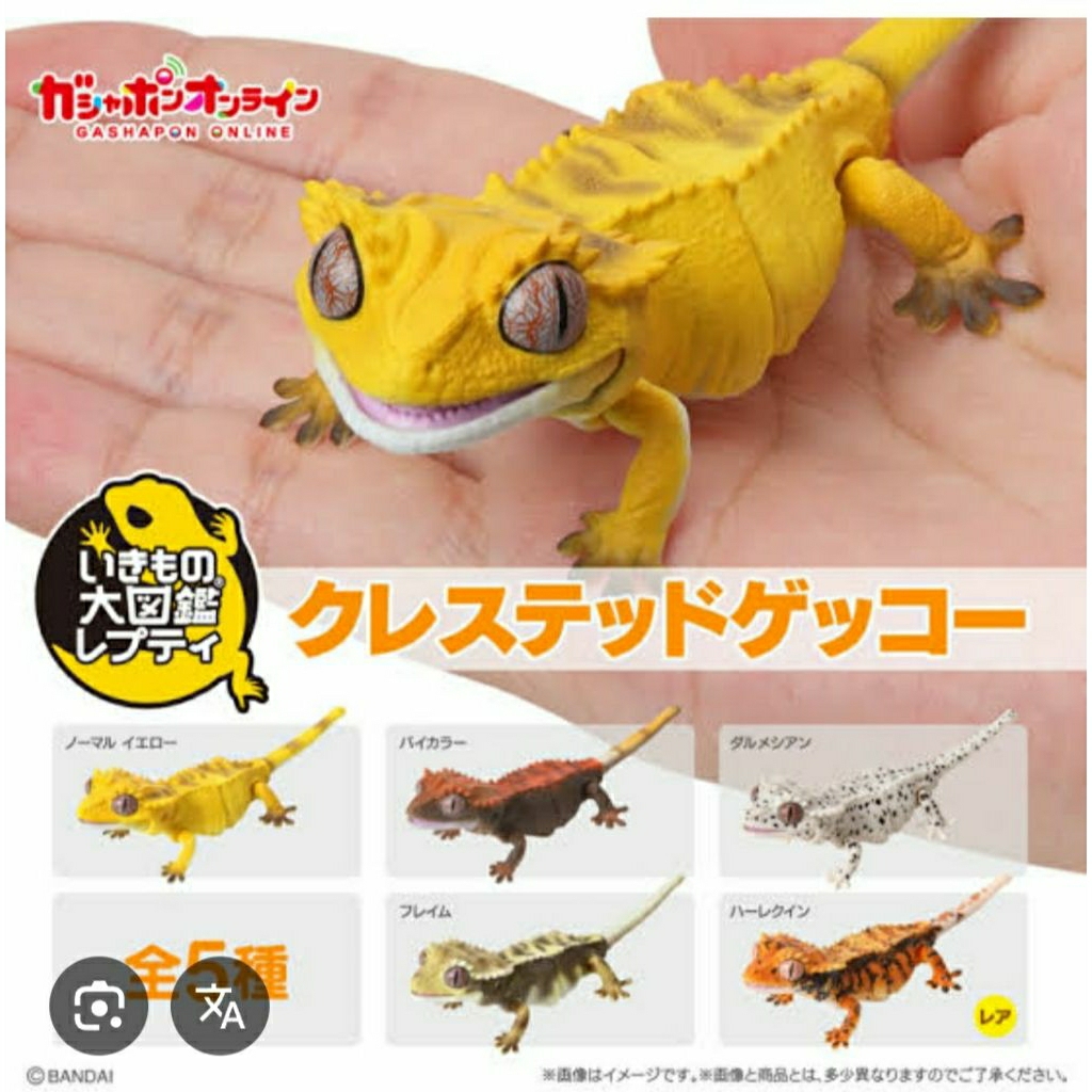 Bandai gachapon creature Encyclopedia Reptile Crested Gecko