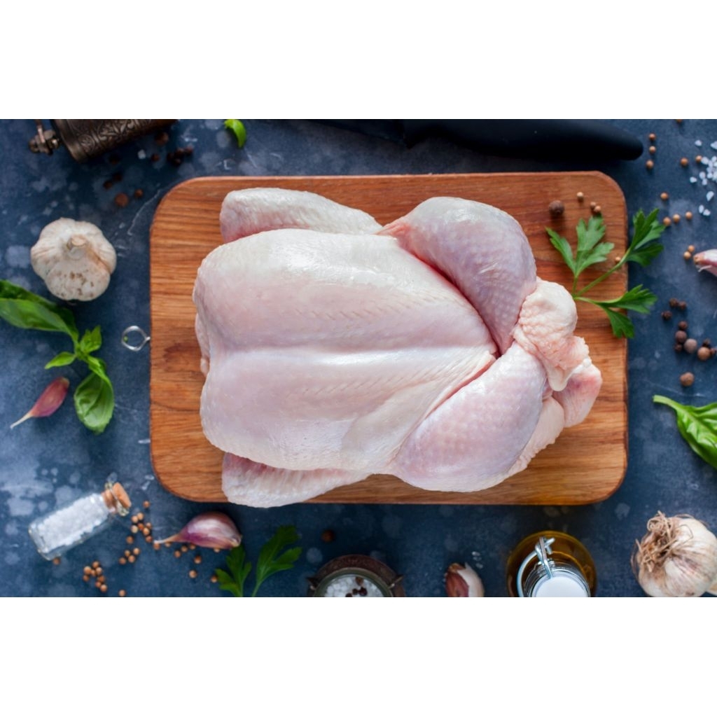 Ayam broiler 600-700 gr