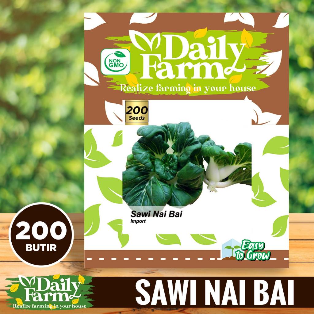 DF - Benih Bibit Sawi Nai Bai - Sawi Nai Bai / Baby Pakcoy