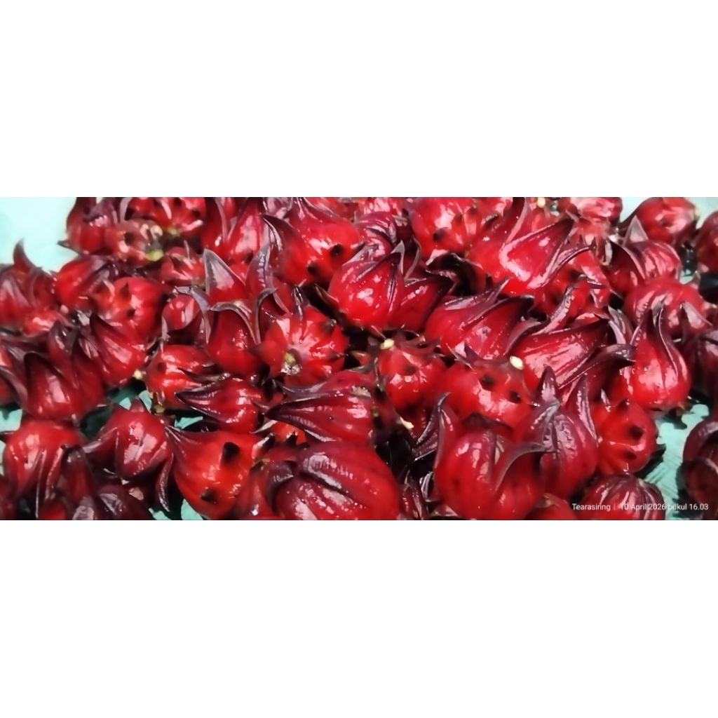 BENIH TEH ROSELA/ BUNGA ROSELA