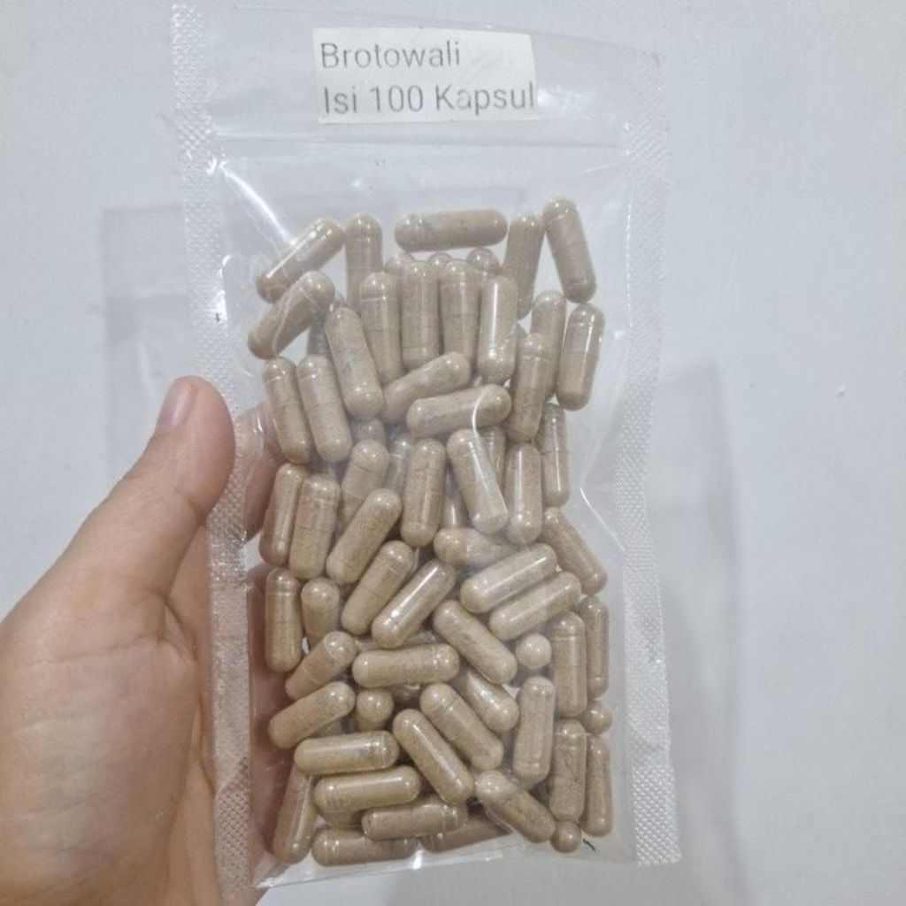 Brotowali Kapsul Isi 100 kapsul