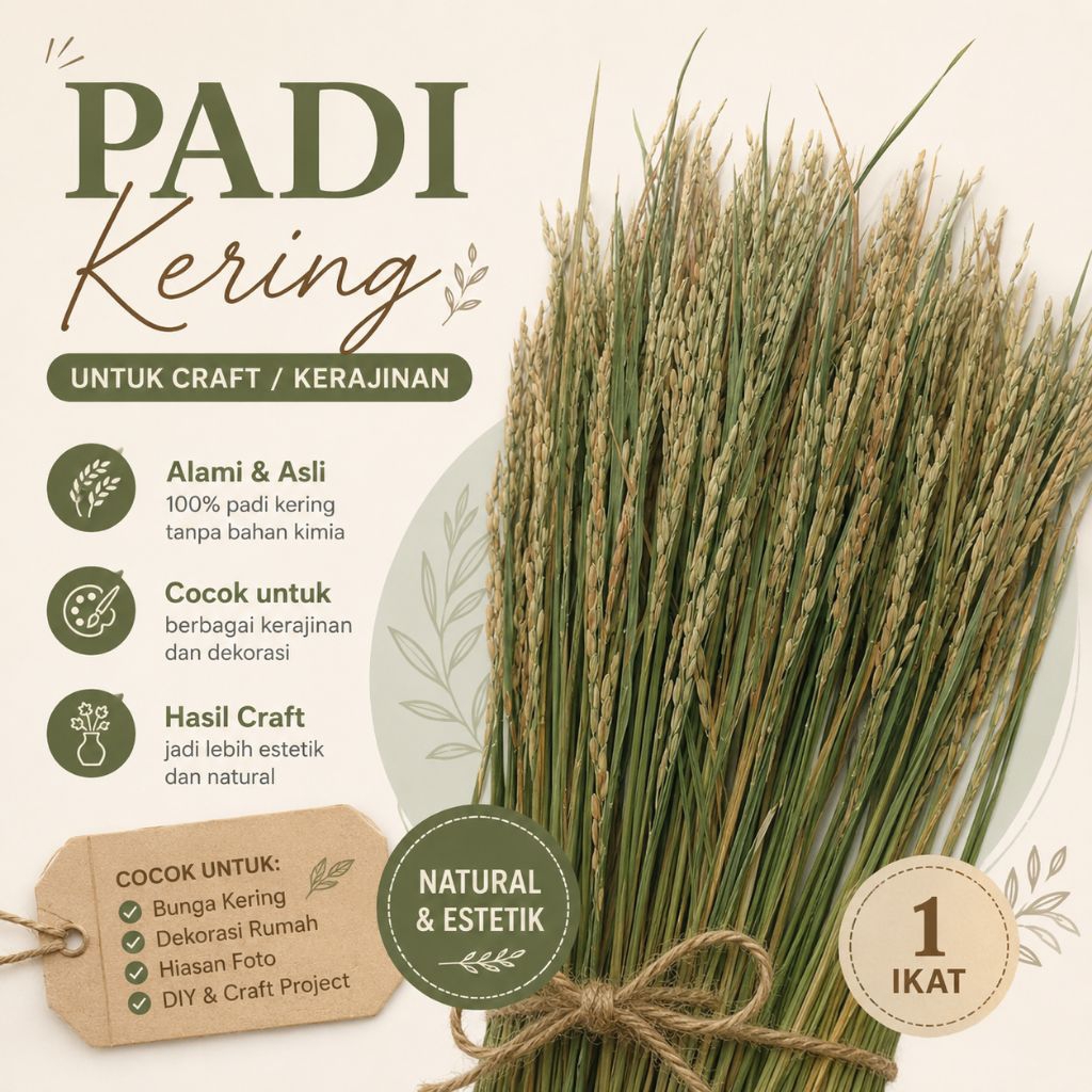 Padi Kering Asli Estetik Hiasan Rustic dan KerajinanPadi Kering Dekorasi Aesthetic untuk Buket dan D