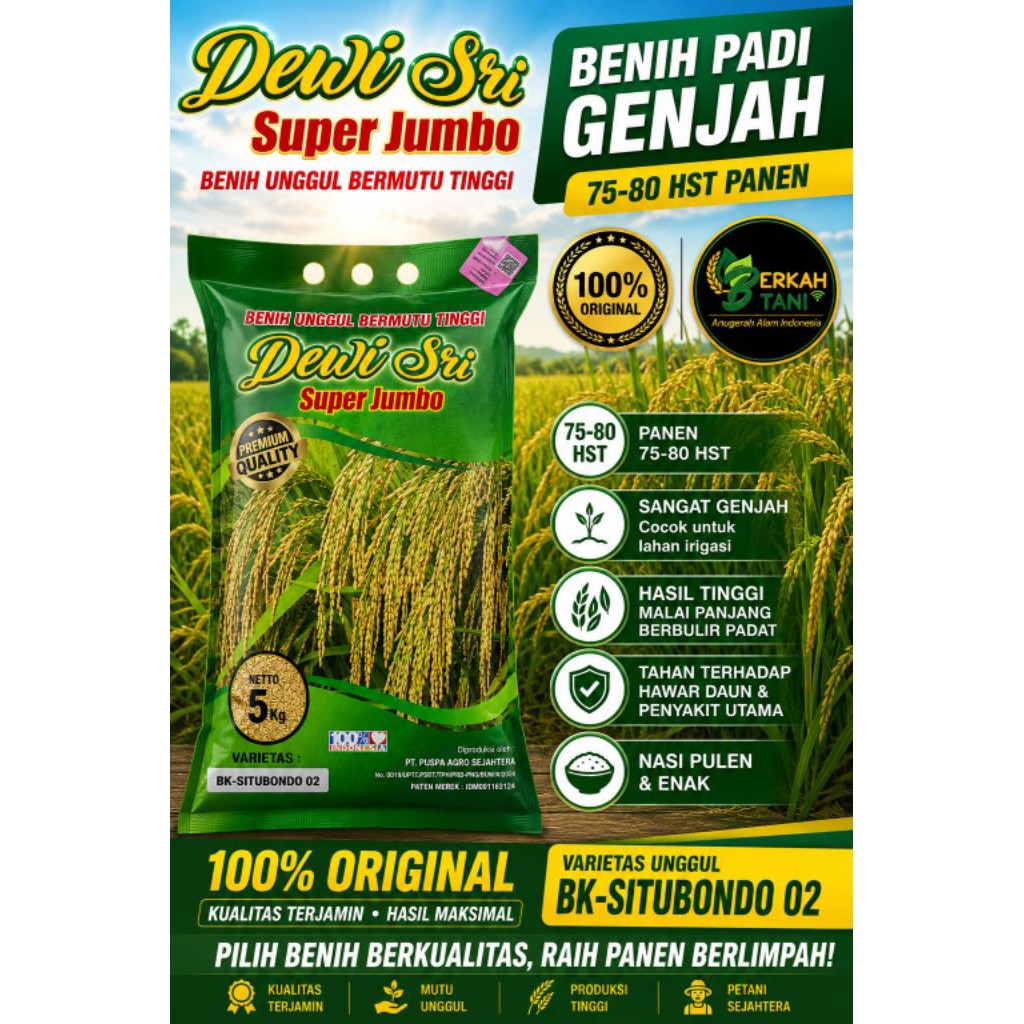 BENIH PADI BK-SITUBONDO 02 PADI GENJAH TONASE BAGUS