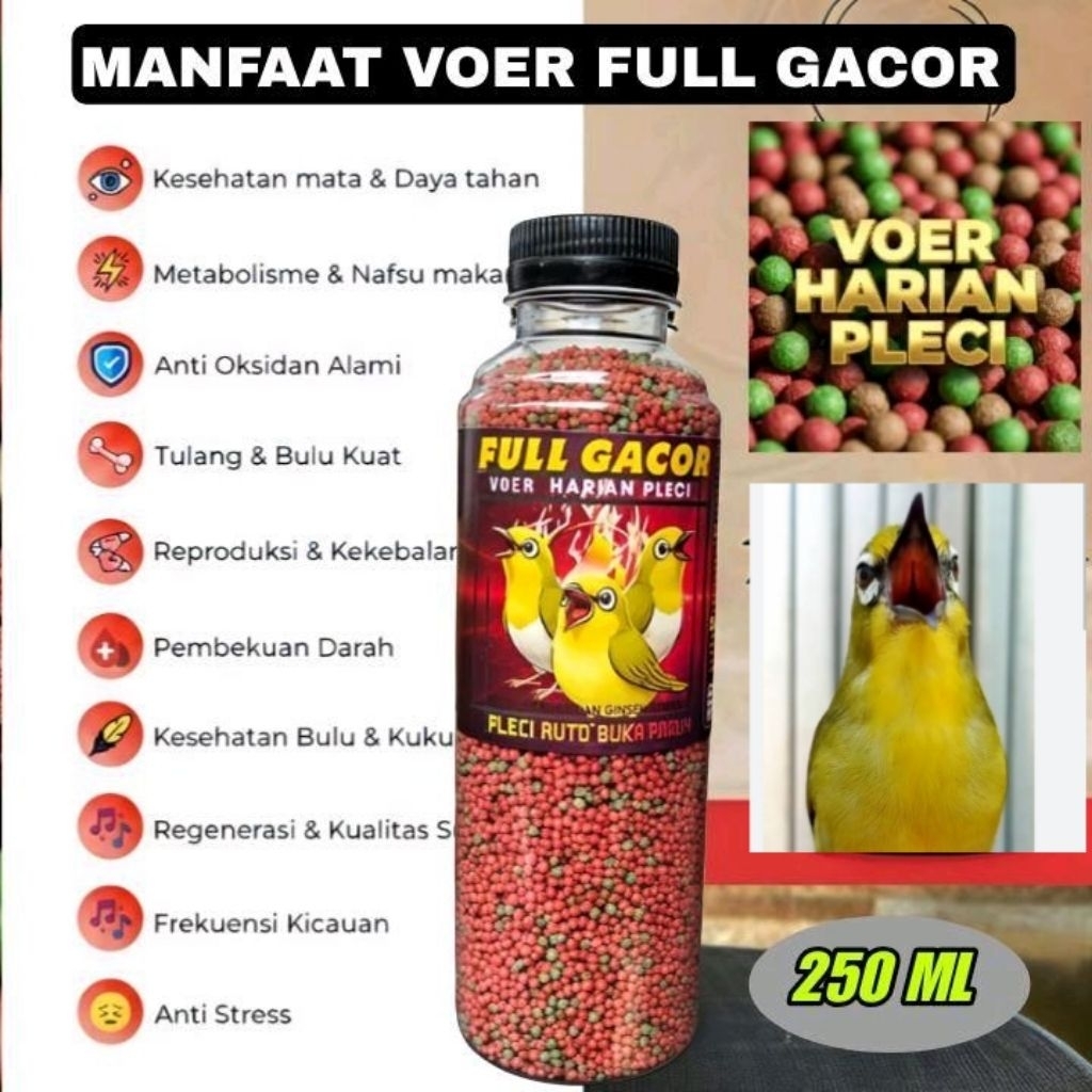 Red Voer Penggacor Pleci Full Gacor 250 ML - Makanan Burung pleci ciblek tledekan gelatik batu prenj