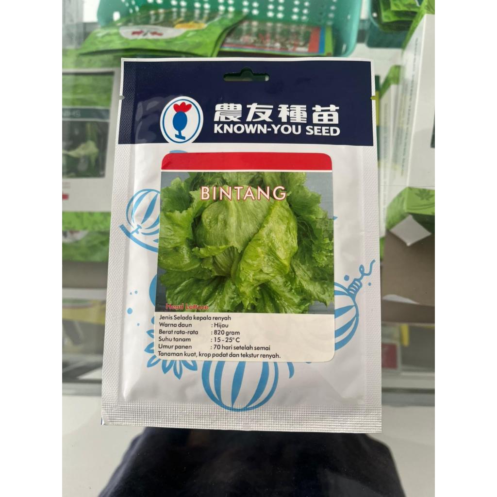 Benih Selada/ Lettuce Bintang 10 Gram Know You Seed