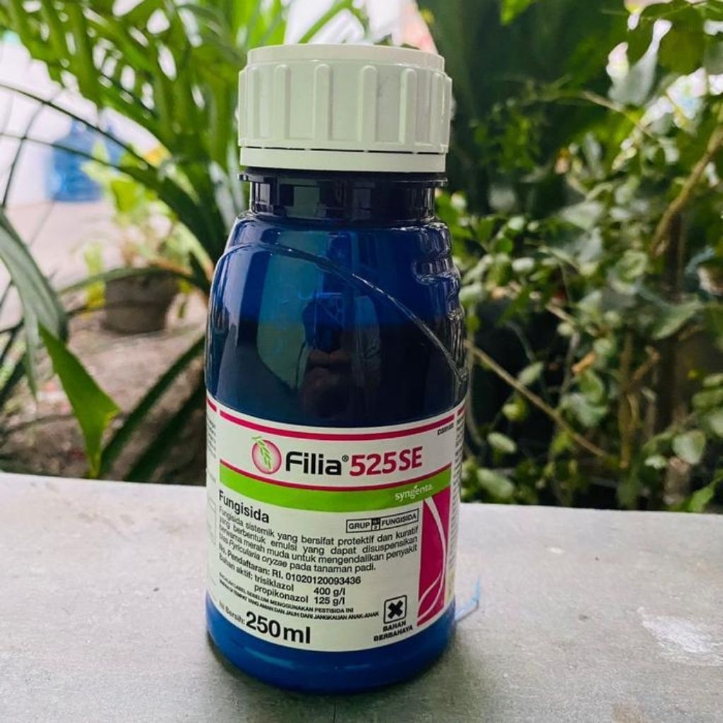 Filia 250ml