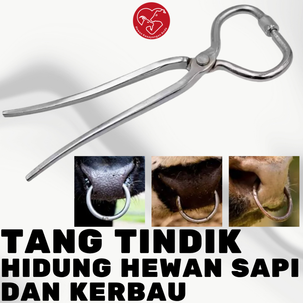 Penjepit Hidung Sapi Tang Hidung Sapi Kerbau Alat Tindik Hidung Sapi Cattle Nose Plier
