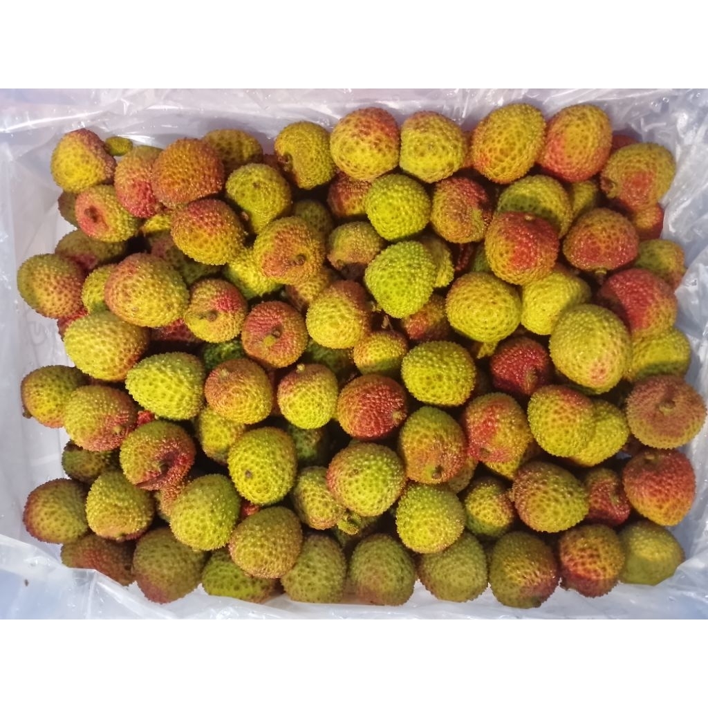 LECI MADU / LECI HIJAU / KHUSUS INSTAN / JOGJA