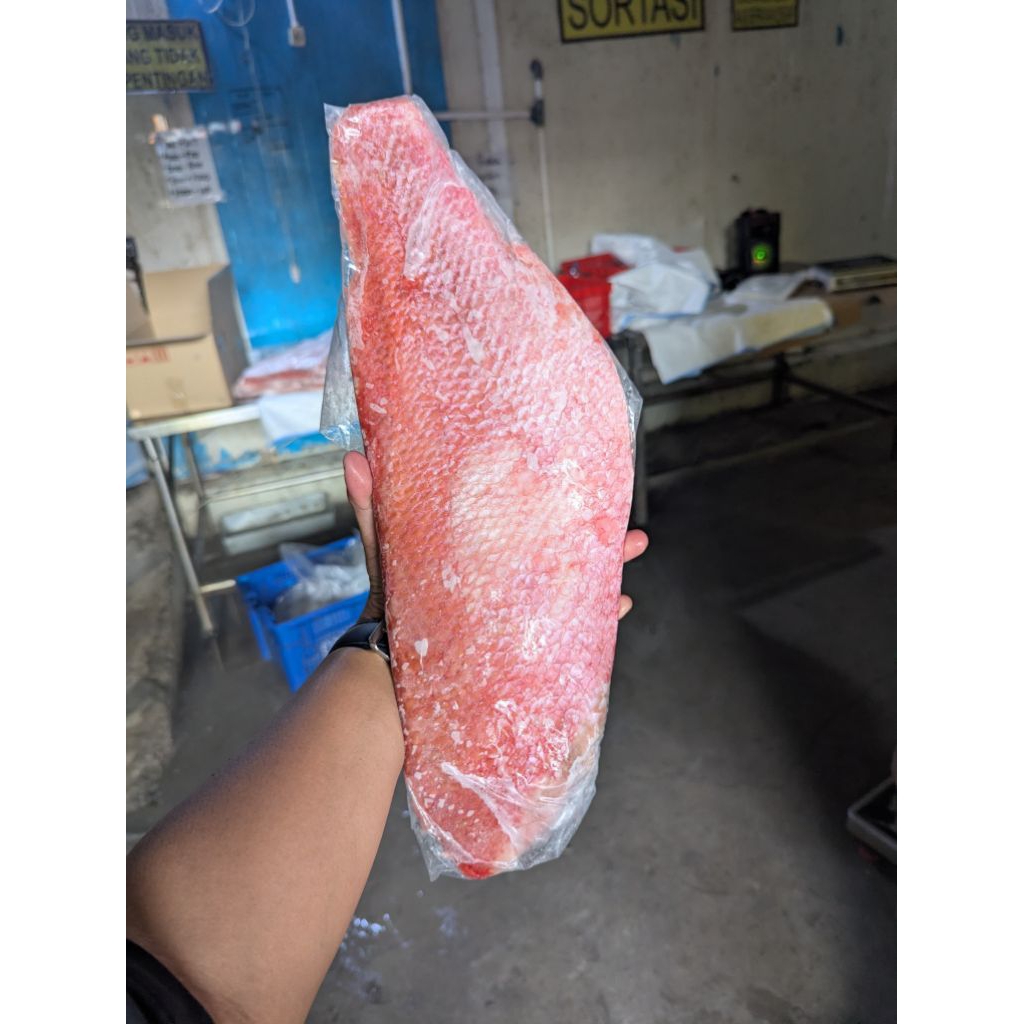 ikan fillet kakap merah segar Frozen ikan filet kakap merah segar beku 1 kg