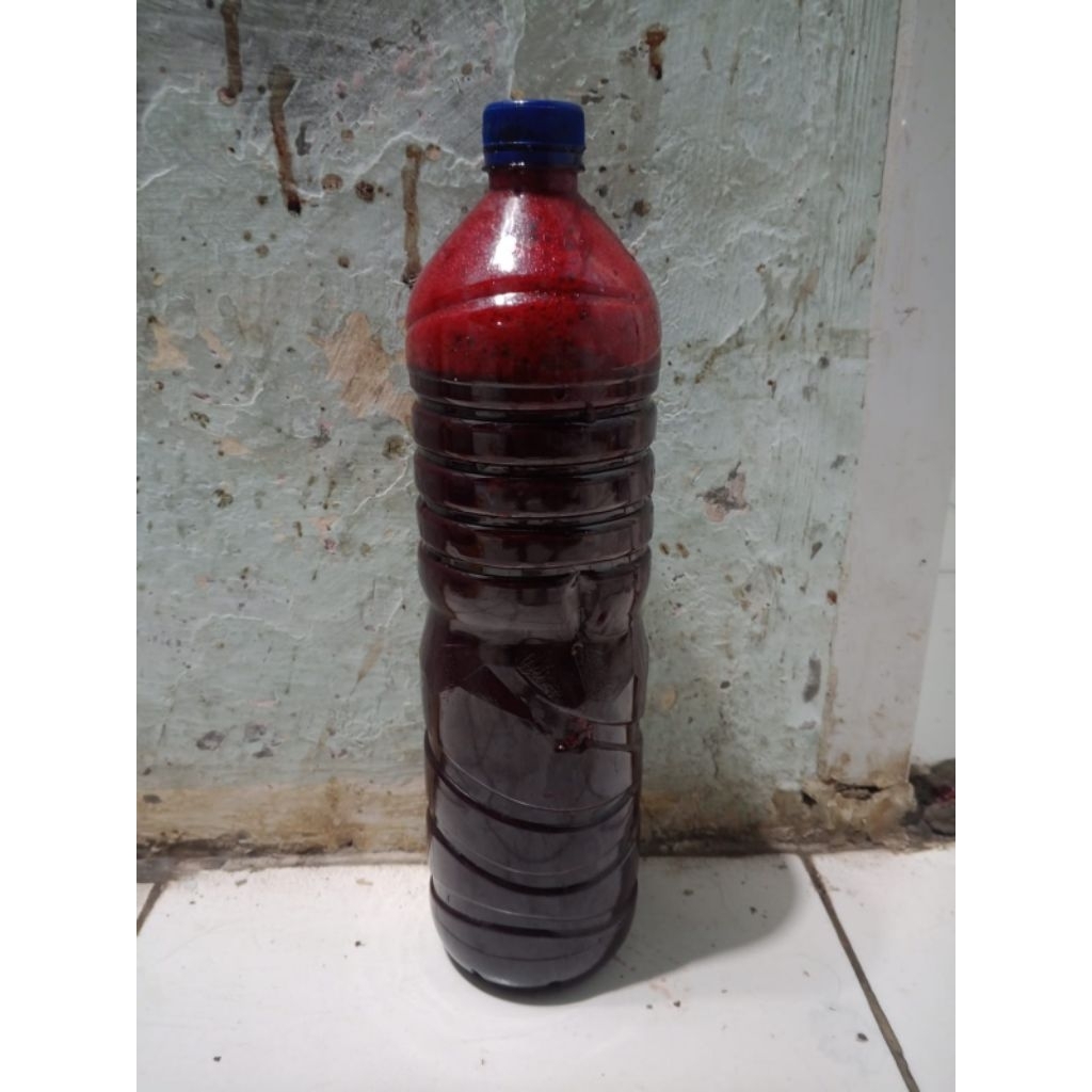 Umpan pancing gt lele darah (marus) sapi kemasan botol 1,5liter