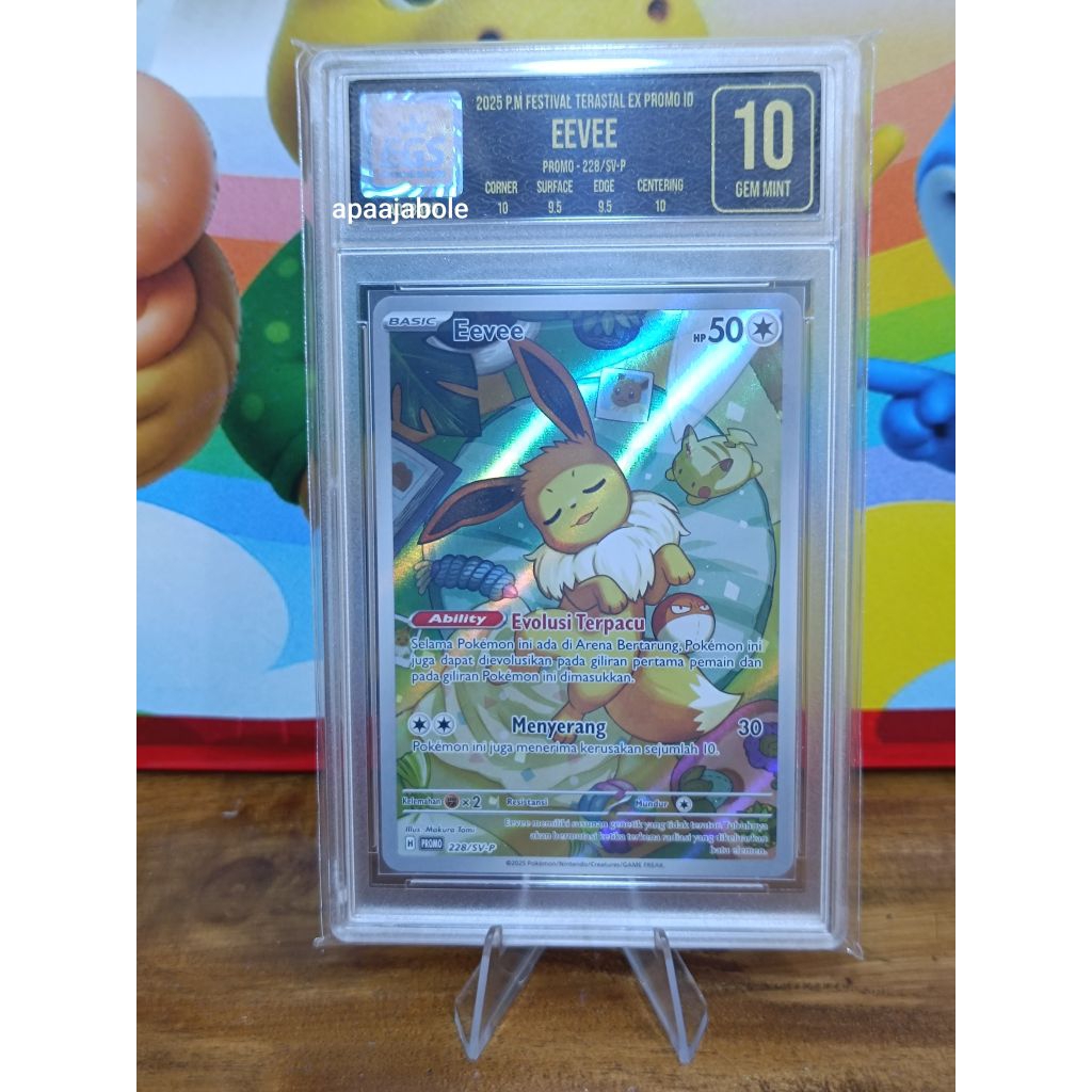 paket slab eevee id promo dan slab bulbasaur ar jp tcg pokemon