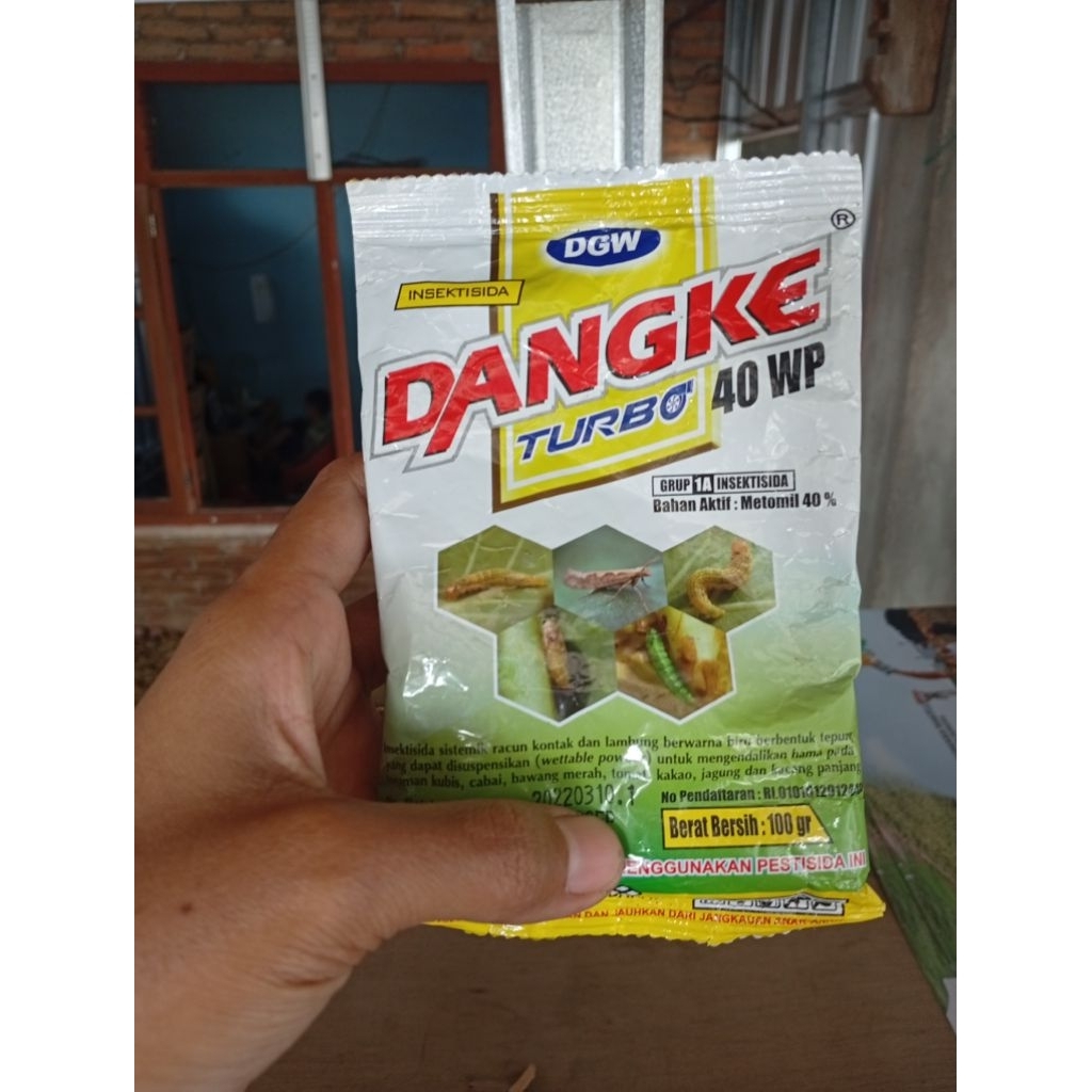 Dangke Turbo 100gr