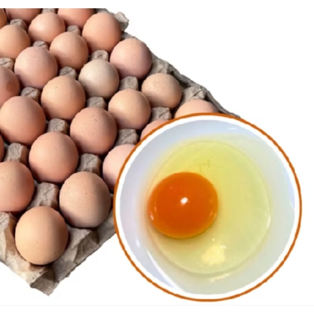 Telur 1kg / Telur Omega 15 Butir Telur Ayam Negeri 1 kg Telor Ayam per kg per kilogram per kilo Telu