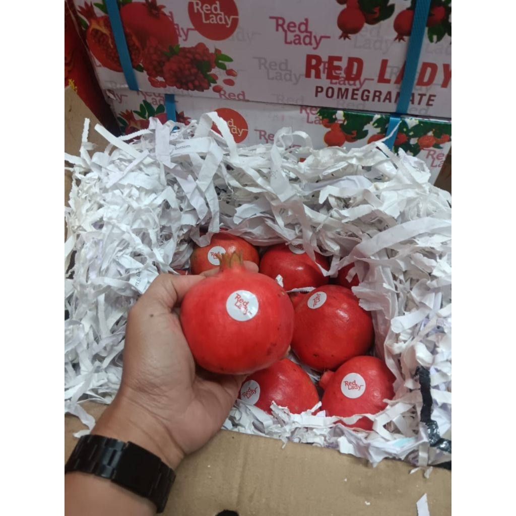 Buah Delima Merah Fresh Import 1Buah