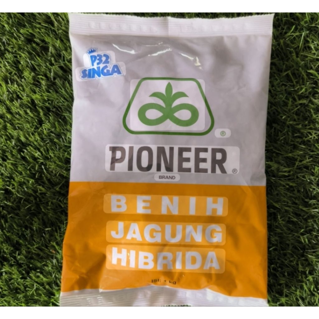 Benih jagung hibrida pioner p32 singa kemasan 1kg original