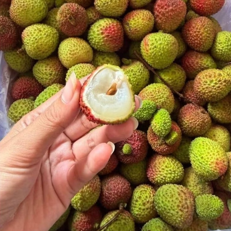 buah leci madu fres pack 500gr
