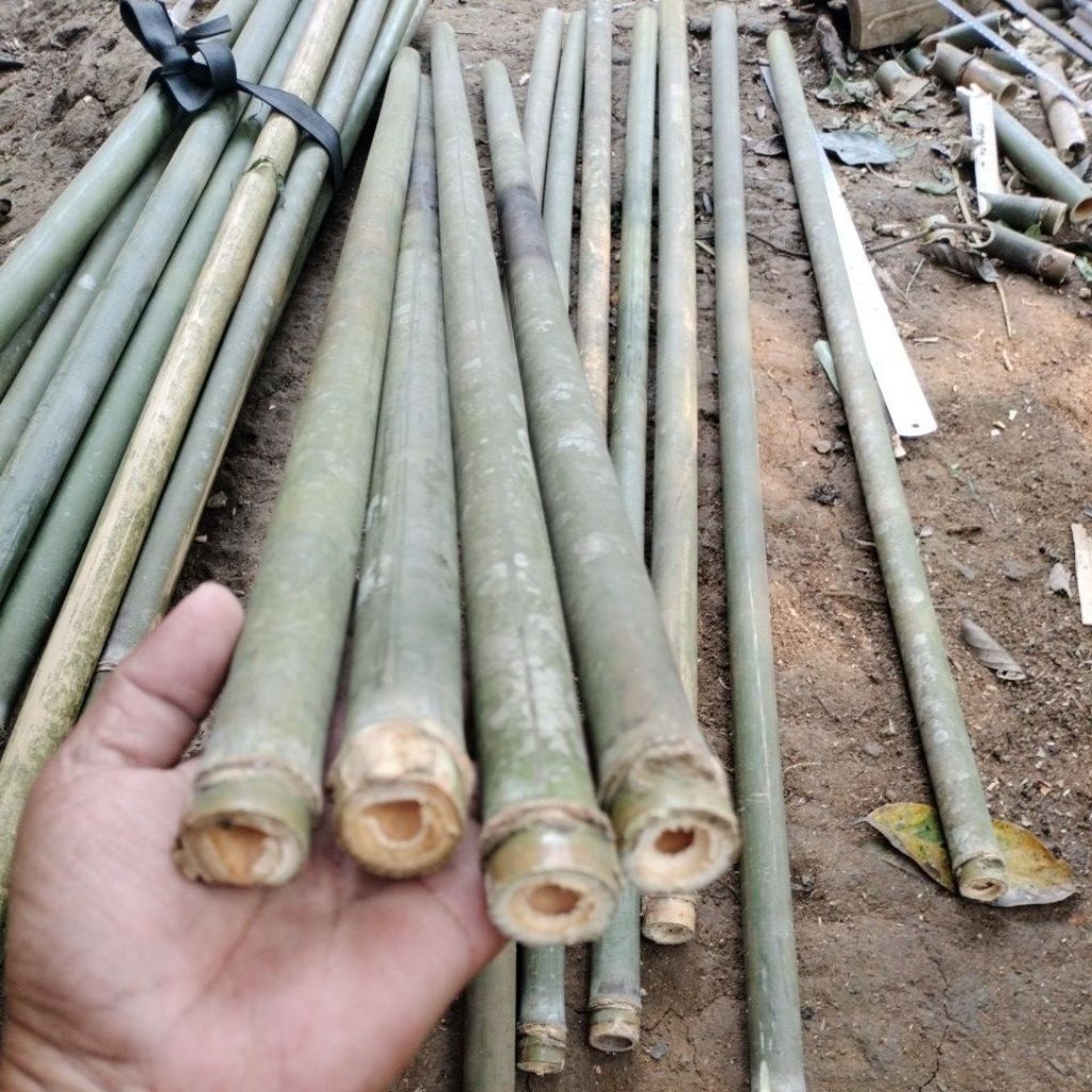 Bambu Tamiang/Bambu Suling panjang 100 cm alami