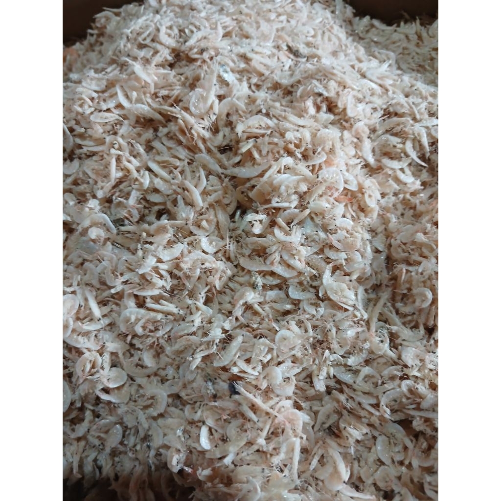 Ikan teri larong 250 gr Udang Rebon Kering Asin