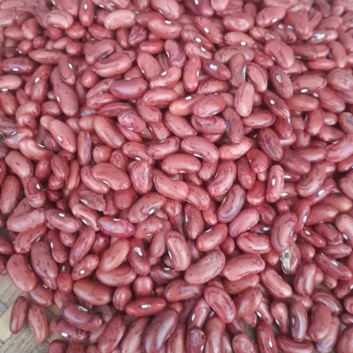 Kacang merah 1 kg