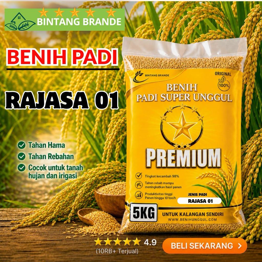 BENIH PADI RAJASA 01 5KG ORIGINAL