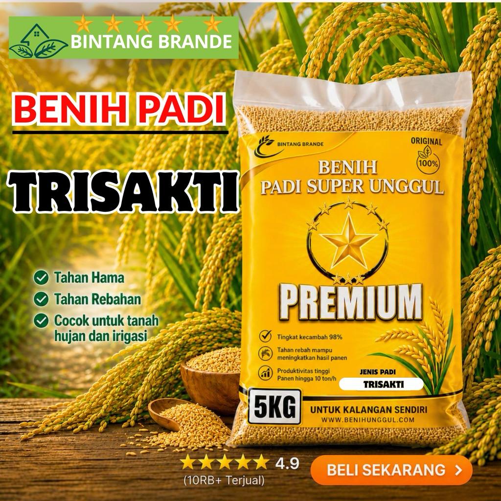 BENIH PADI TRISAKTI UMUR GENJAH 75 HST 5KG