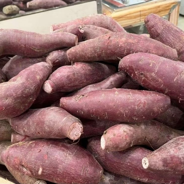 ubi ungu 1kg fresh siap kukus