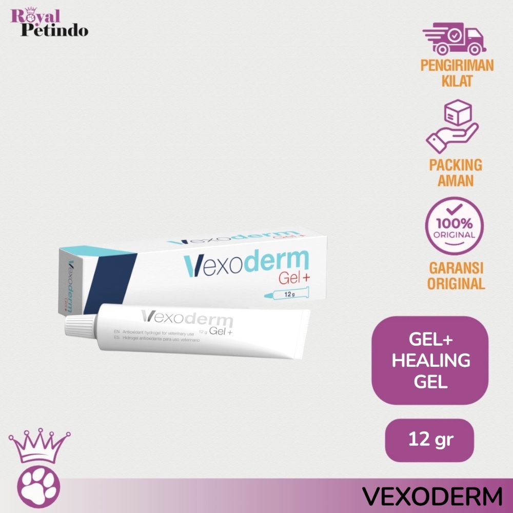 Vexoderm Gel Hydrogel Antioxidant Healing Gel / Repair Gel Luka / Iritasi / Abses / Bekas Operasi He