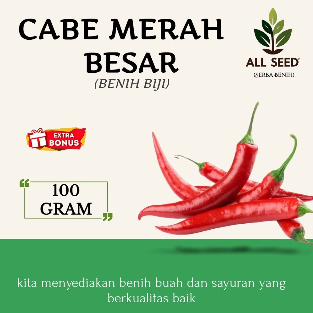 ( 100 gr ) Benih cabe merah besar / bibit cabe / cabai merah besar / bibit biji cabe
