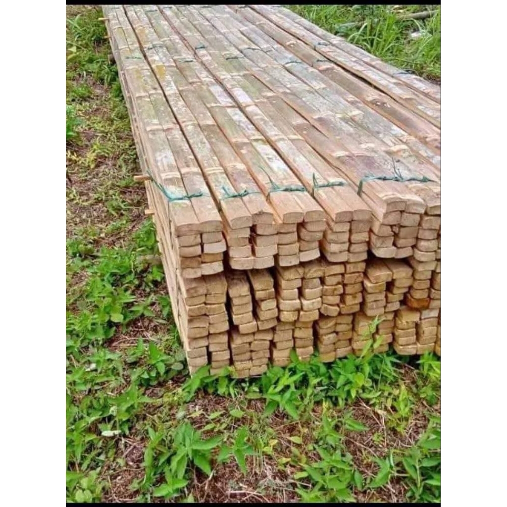 bambu petung kotak tebal panjang 2 meter