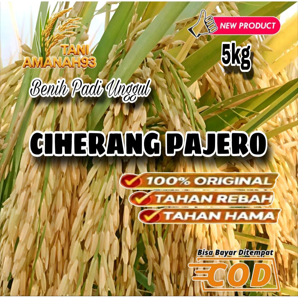 Benih Padi Berkualitas Unggul CIHERANG PAJERO 100% Original 5kg