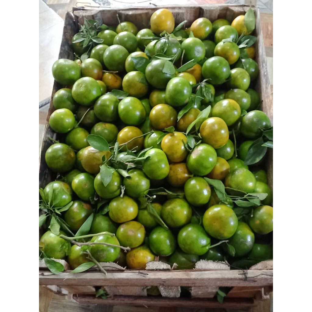 KEDIRI KOTA JERUK PERAS MANIS DAN SEGAR 2,5kg