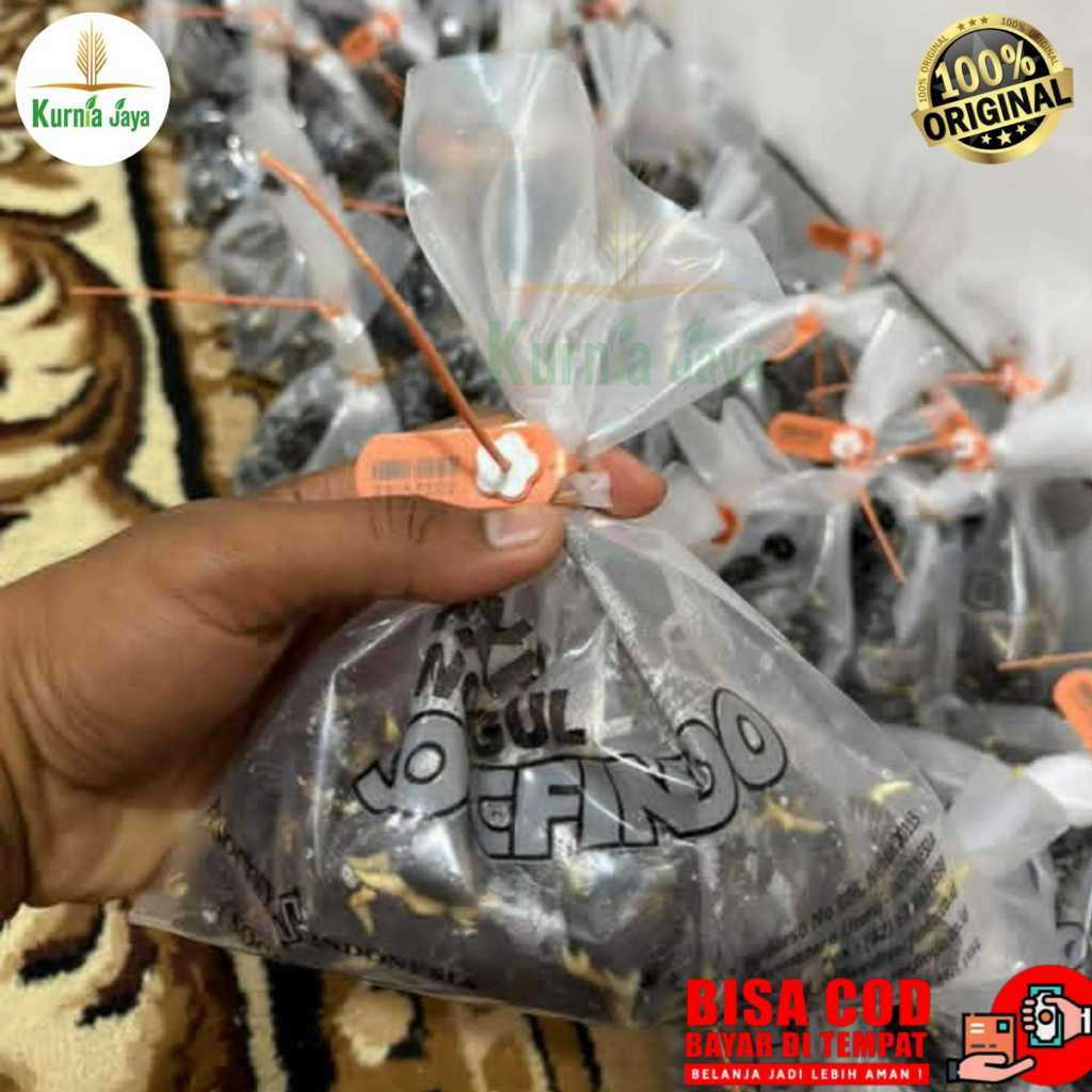 Bibit Kecambah Sawit Unggul SOCFINDO isi 250 Butir Bersertifikat