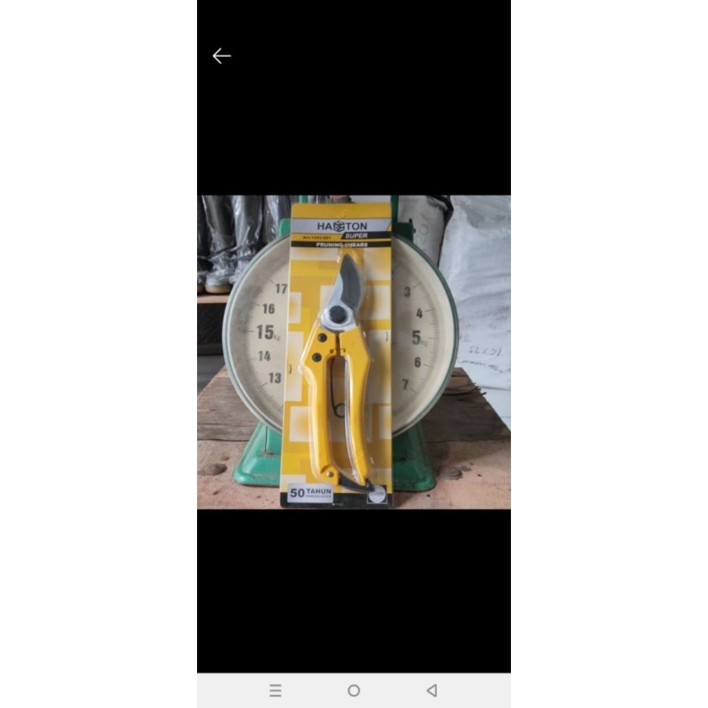 Gunting dahan Haston 1353-001