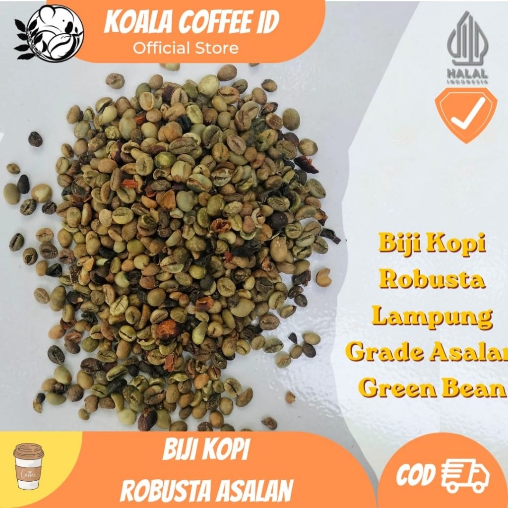 BIJI KOPI ROBUSTA LAMPUNG 1KG GRADE ASALAN GREEN BEAN ROBUSTA LAMPUNG BARAT