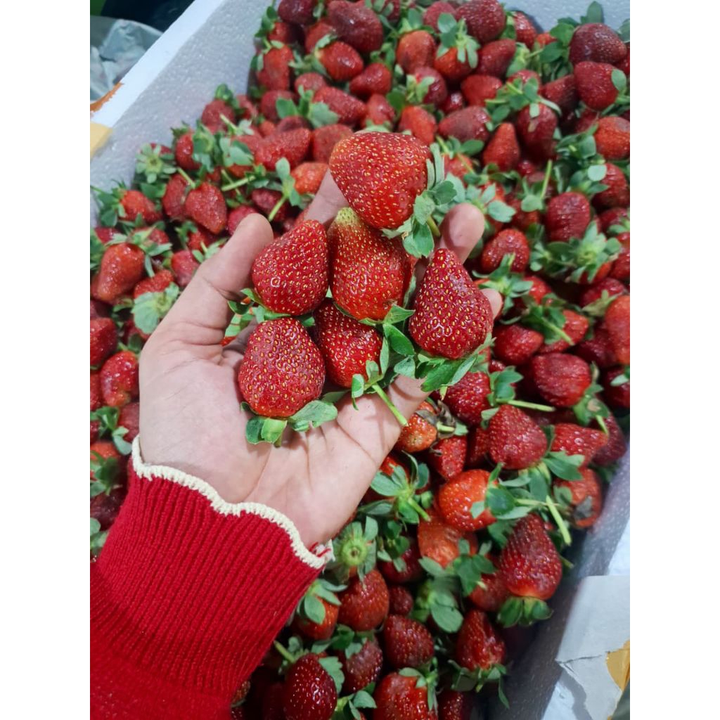 BUAH SEGAR 1KG Strawberry,leci,apel,pir,,apel, jeruk,lemon