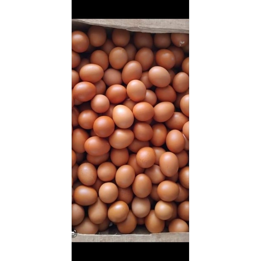 PROBOLINGGO paiton telur ayam  tersedia 1kg,