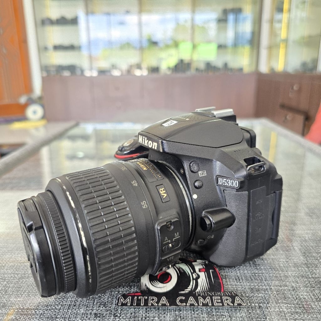 NIKON D5300