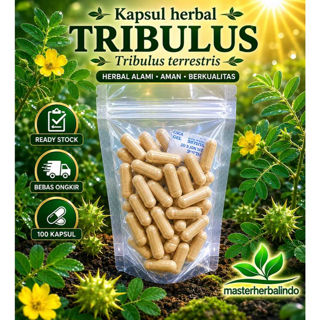 Kapsul Curah Herbal EXTRACT TRIBULUS 200x600mg Jaga Stamina Dukung Vitalitas Bantu Keseimbangan Horm