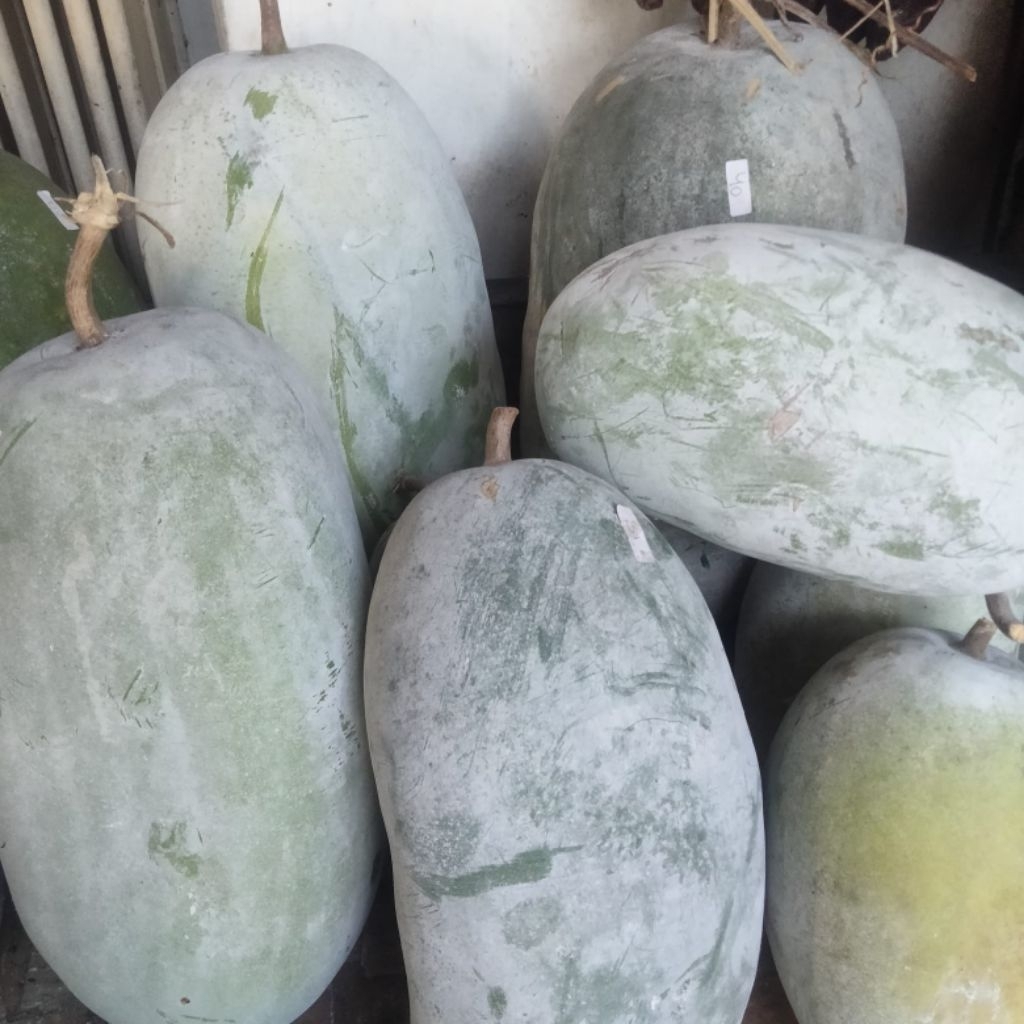 bligo blonceng buah kundur sayur