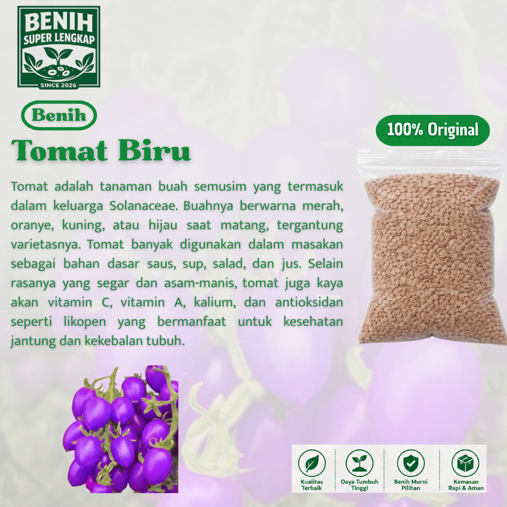 ( 1 Butir ) Benih Biji Tomat | Tomat Biru | Tomat Hitam
