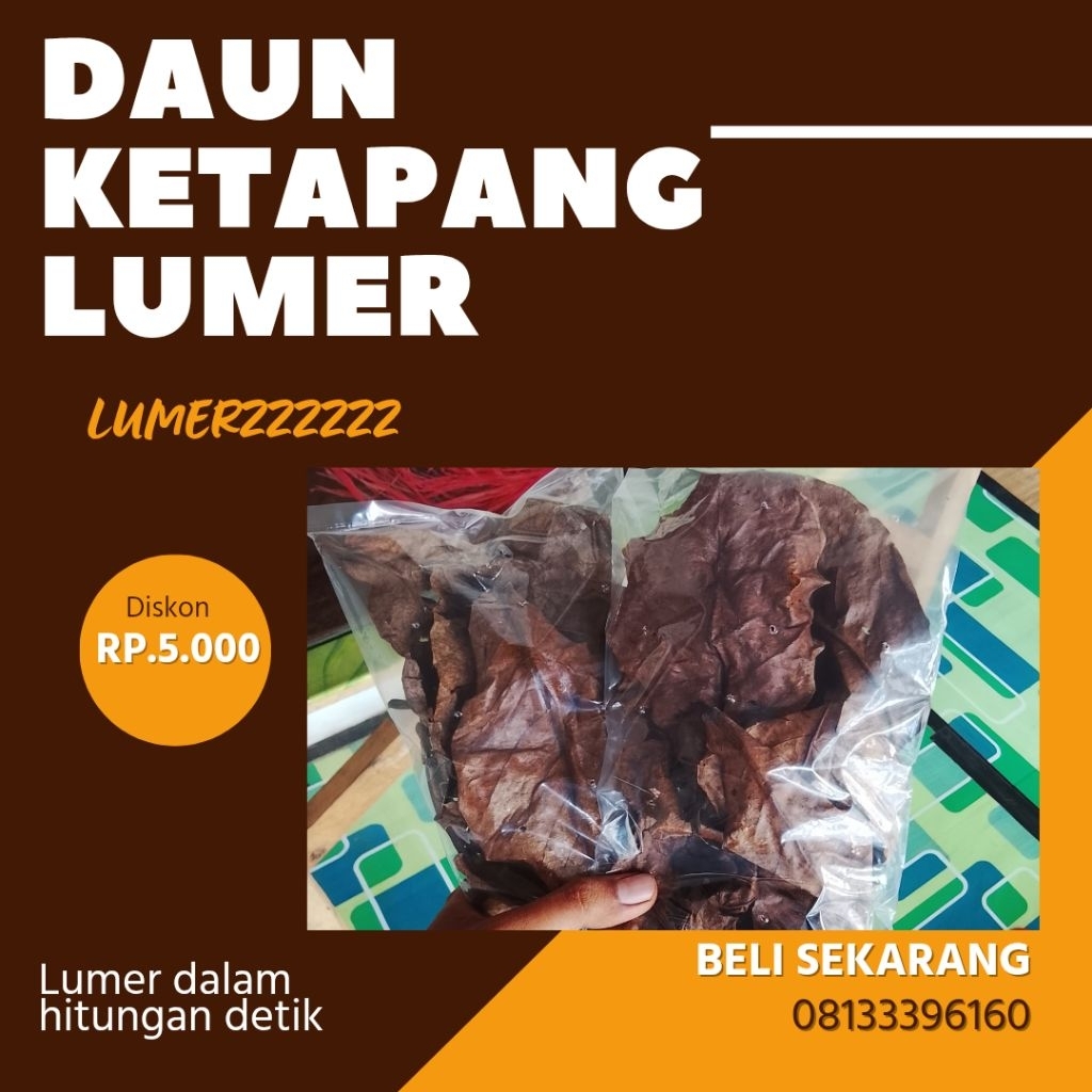 PROMO beli 2 gratis 1 Daun ketapang olahan siap pakai lumer